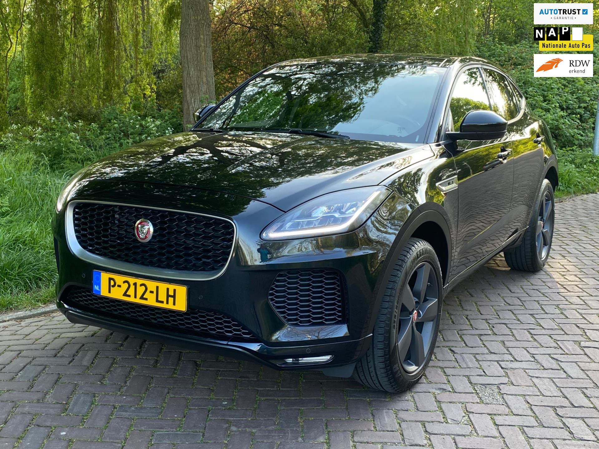 Tweedehands Jaguar occasion kopen