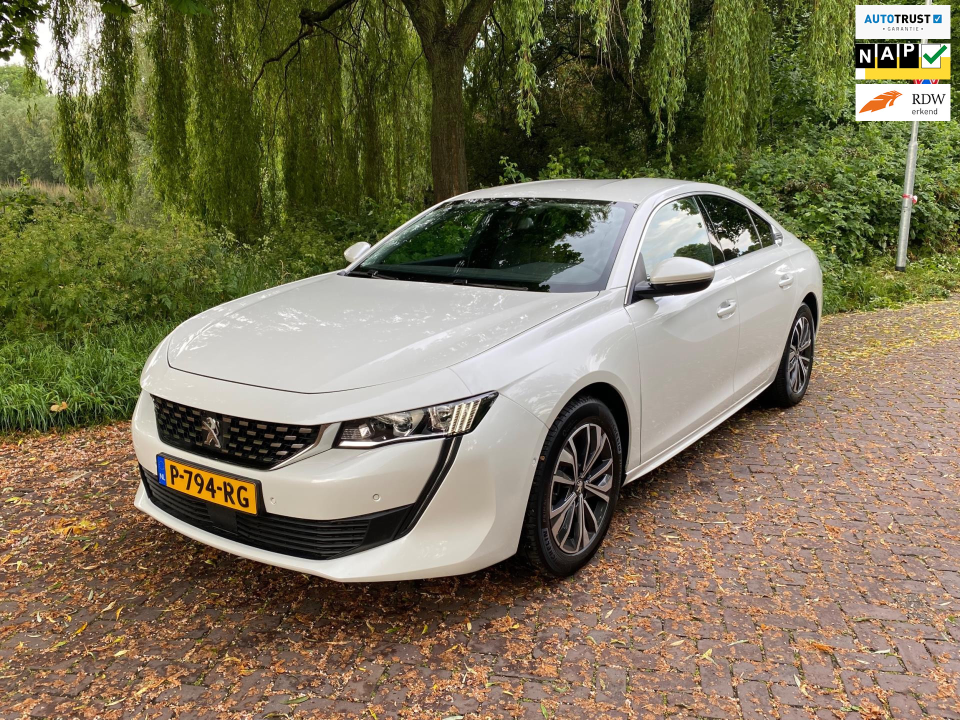 Tweedehands Peugeot occasion kopen